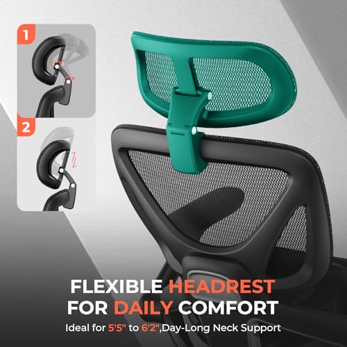Ergonomic Mesh Office Chair with Adjustable Lumbar Support